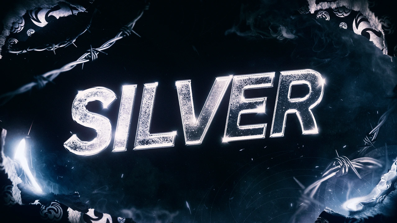 Пакет Silver